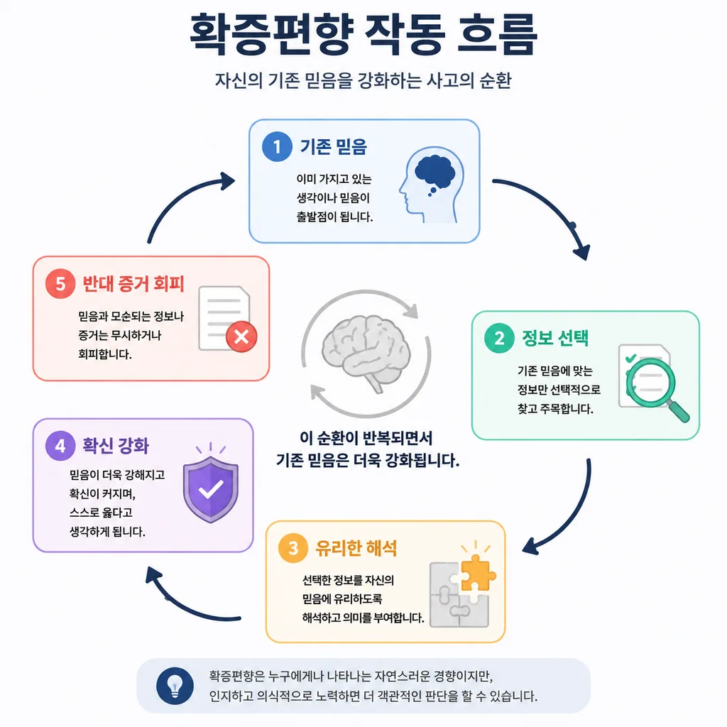 확증편향 작동 흐름 다이어그램